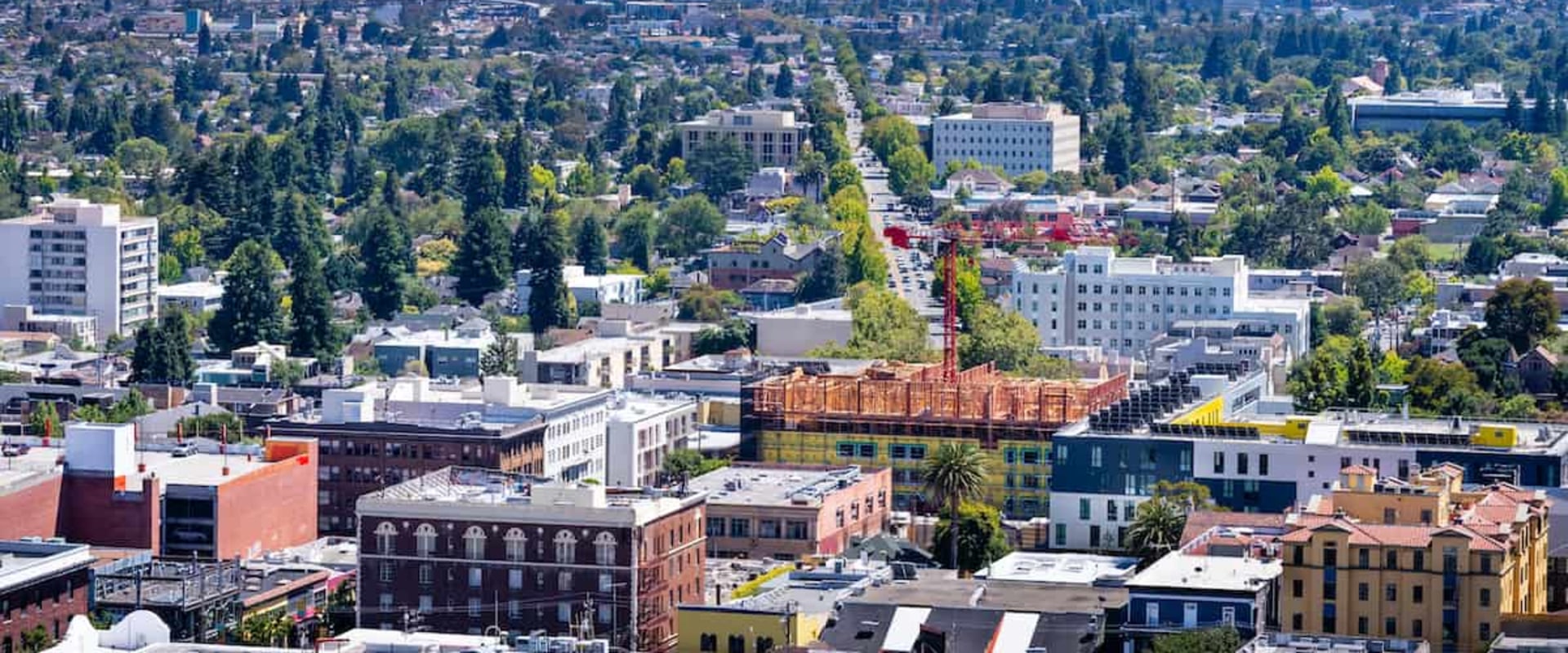 Discovering the Charm of North Berkeley
