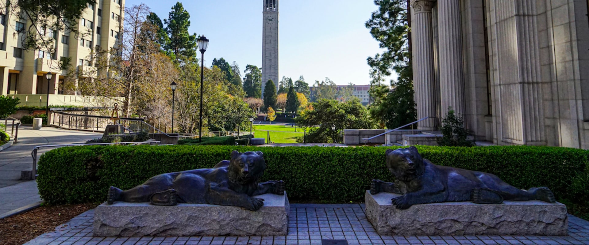 Real Estate Laws in Berkeley: What You Need to Know